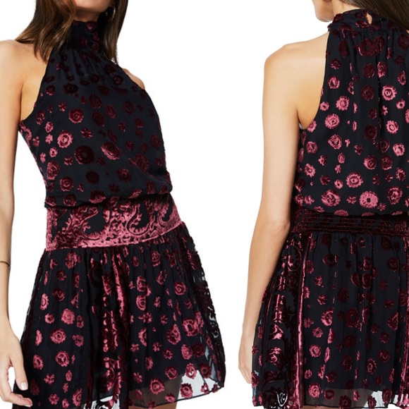 RAMY BROOK Naima Velvet Burnout Short Dress NWT S - Picture 3 of 6